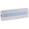  Luz de emergencia led 6000k 100lm permanente auto/3hrs